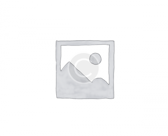 عنصر نائب Placeholder